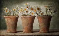 Still life 41