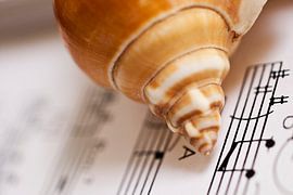 Musik des Meeres von Rik -