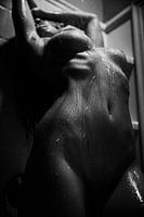 De schoonheid; Erotisch naakt onder de douche