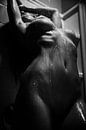 De schoonheid; Erotisch naakt onder de douche van Atelier Liesjes thumbnail
