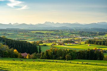 Uitzicht over de Allgäu naar de Allgäuer Alpen en de Gaishorn in het Tannheim gebergte van Leo Schindzielorz