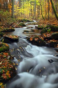 On the road in the Harz Mountains