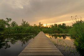 Setting sun with plank path by Ideasonthefloor