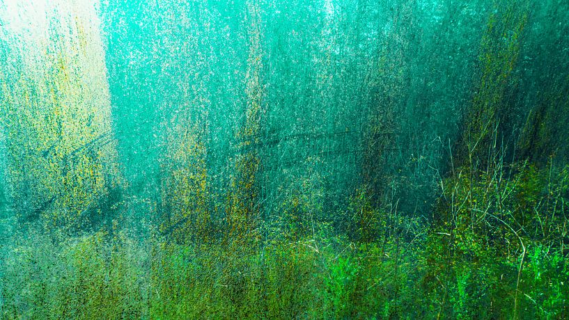 Abstract 7 by Anna Hiemstra