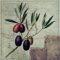 Olives and the Portuguese Art of Cooking