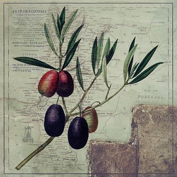 Oliven und die portugiesische Kochkunst von Western Exposure