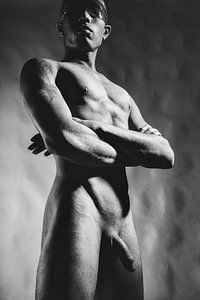 Un très bel homme nu de couleur foncée.