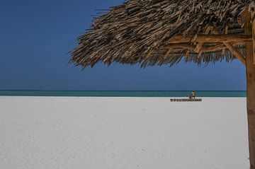 Zanzibar Strand von Robert Styppa
