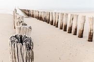Poteaux de plage à Domburg par Dana Schoenmaker Aperçu