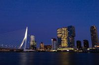 Rotterdam by night
