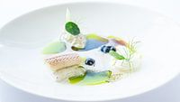 Plat de poisson à la vinaigrette verte sur assiette blanche