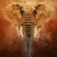 Éléphant peint