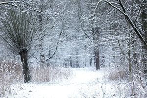 Winterse sferen van P Kuipers