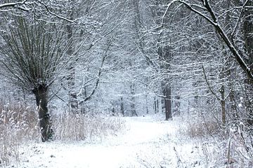Winter-Atmosphären von P Kuipers