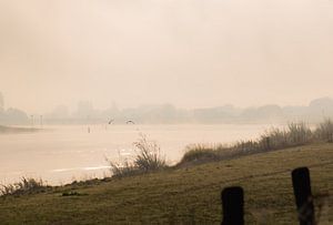 rivier Rijn in de mist van Tania Perneel