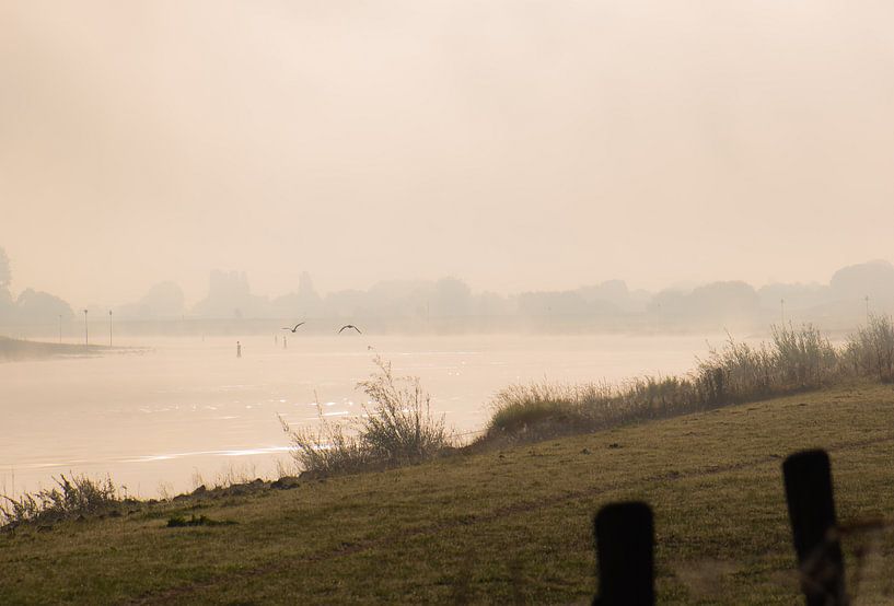 Der Rhein im Nebel von Tania Perneel