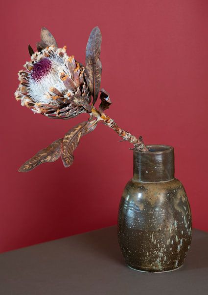 Protea in bruine vaas van Floris Kok