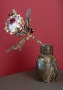 Protea in bruine vaas van Floris Kok thumbnail