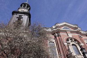 Frühling am Hamburger Michel