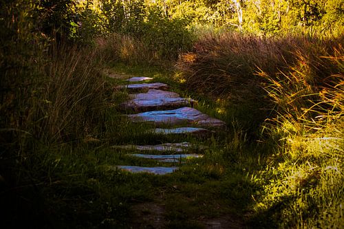 het pad naar..............