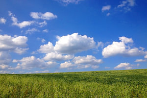 Hügelige Landschaft im Sommer.jpg