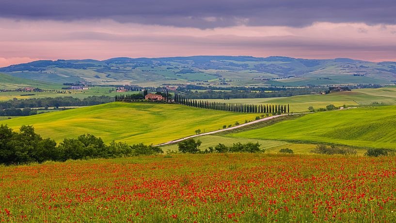 Mohnblumen in Poggio Covili von Henk Meijer Photography