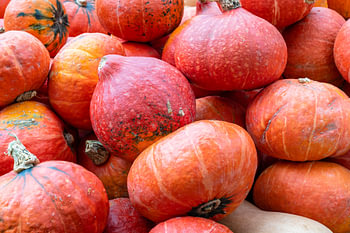 Courges d'Hokkaido