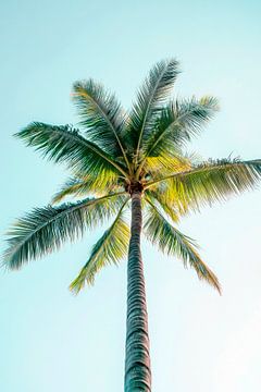 Palm hemel van Poster Art Shop