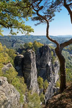 Zicht op de rotsen van Saksisch Zwitserland bij Rathen van Heiko Kueverling