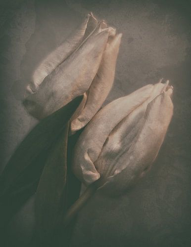 Liefde op het eerste gezicht ...