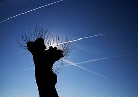 beautiful pllution by Henk Speksnijder