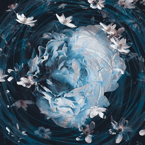 Bloemen zoals de sterren rond de aarde