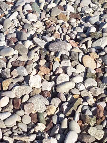 grind by Joelle van Buren