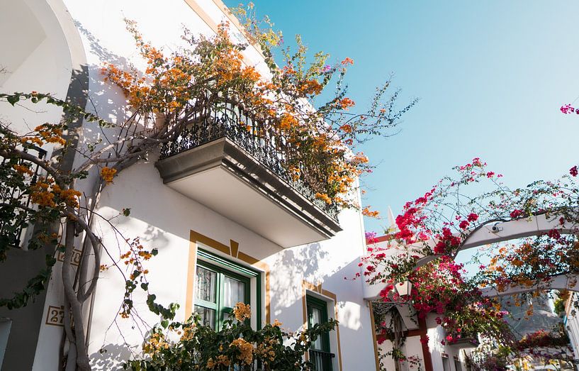 Fleurs dans le village de pêcheurs de Puerto de Mogán par Visuals by Justin