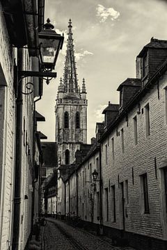 Sint-Geertrui en Klein Begijnhof, Leuven (Z/W) van Manuel Declerck