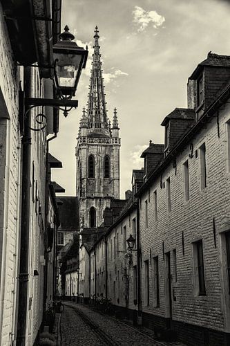 Sint-Geertrui en Klein Begijnhof, Leuven (Z/W)