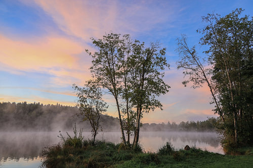 Morning mist over the Schwackenreuter Lakes just before sunrise in September