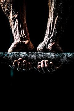 Focus on strength and determination by Imperial Art House