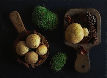 Nature morte aux herbes pour la cuisine . sur Saskia Dingemans Awarded Photographer