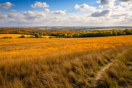 Autumn landscape on the Veluwe - landscape photography 4 by The Photo Artist