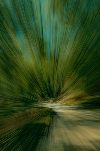 Towards the light