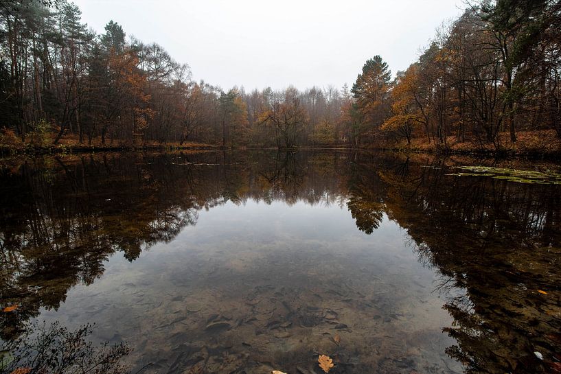 See im Herbst par Matthis Rumhipstern