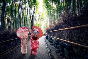Der Bambuswald in Kyoto