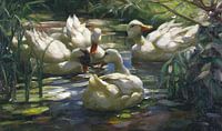 Enten auf dem Waldweiher, ALEXANDER KOESTER, Ca. 1909-1913