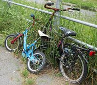 The two Bicycles