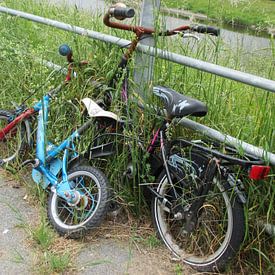 The two Bicycles von Jon Houkes