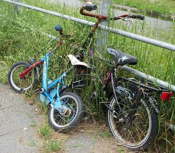 The two Bicycles