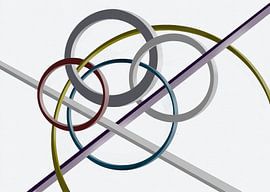 Zo werkt de wereld van Bert Oosterhout