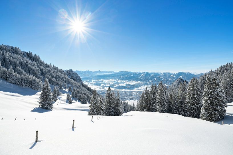 Wintersonne von Andreas Föll
