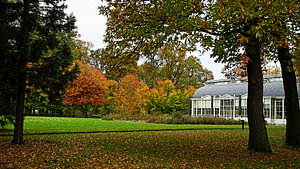 Orangerie in herbstlicher Atmosphäre